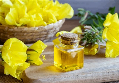 Għal xiex hija tajba l-lejla ta 'Primrose?